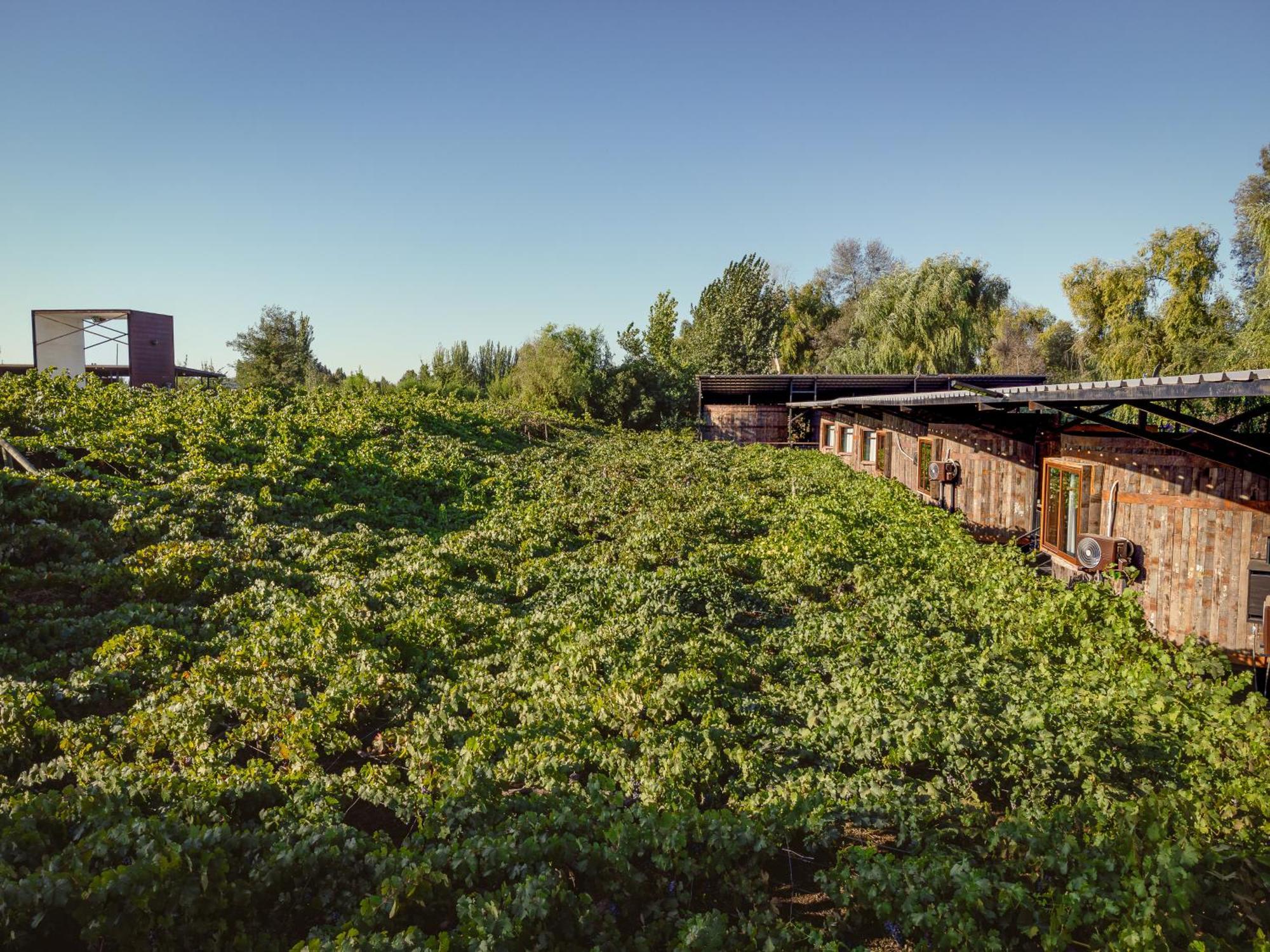 Cava Colchagua Hotel Boutique Santa Cruz Exterior foto