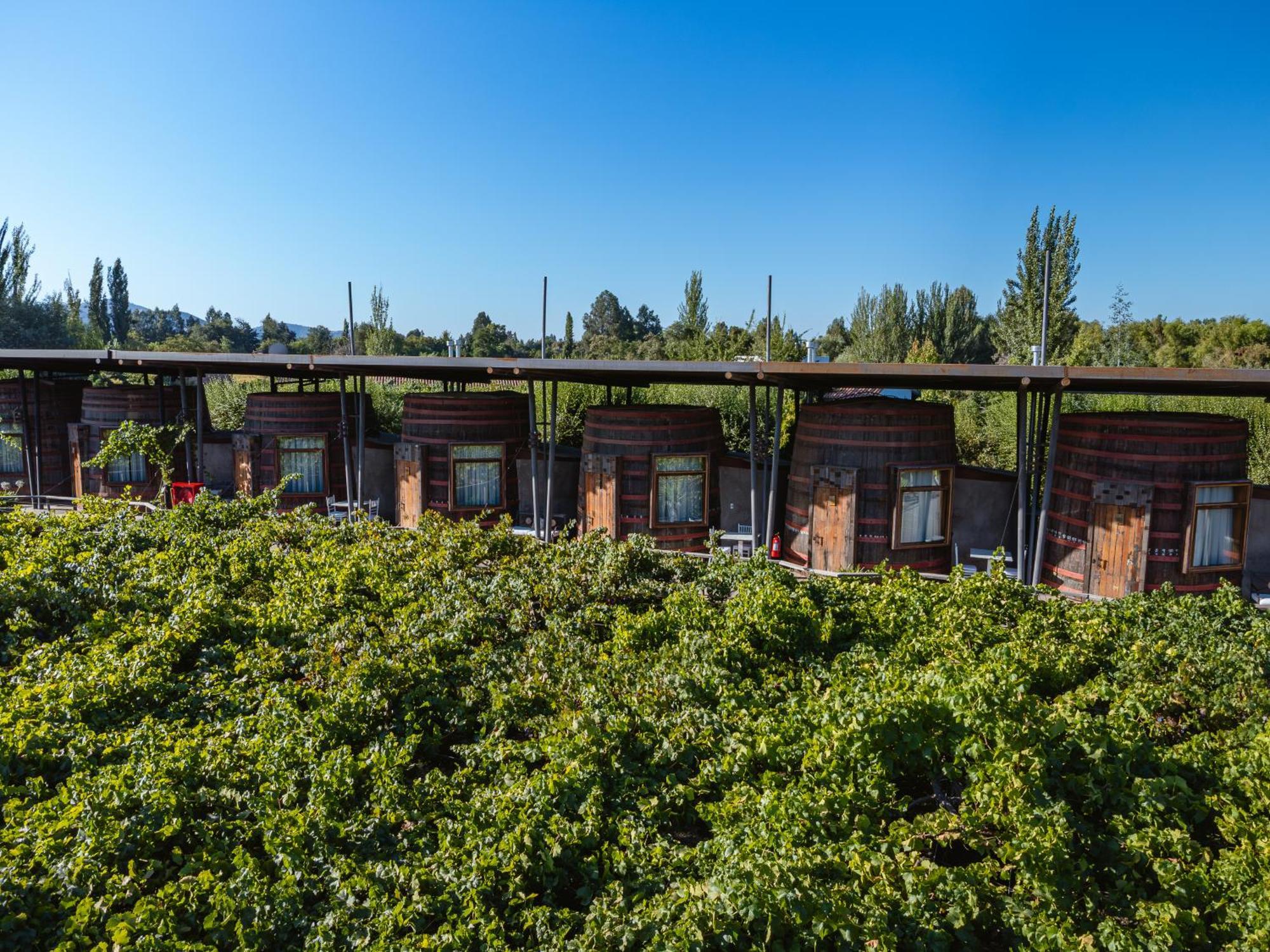 Cava Colchagua Hotel Boutique Santa Cruz Habitación foto